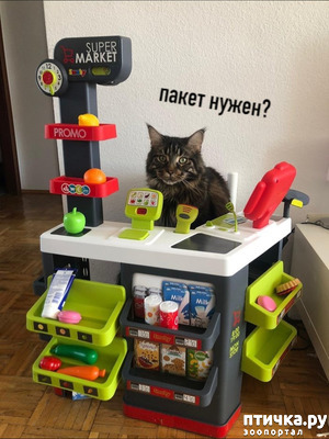 ����: ��� �� ������ ����