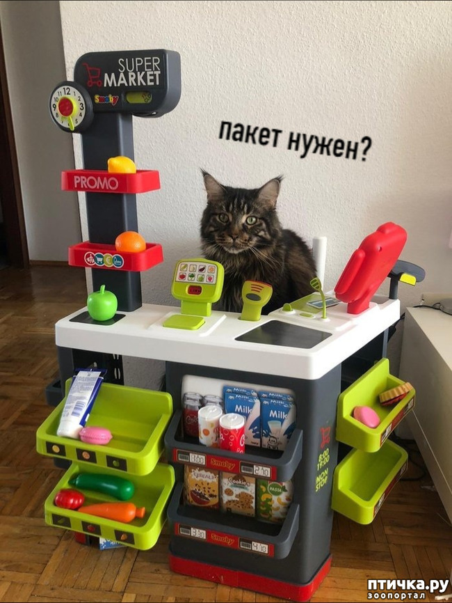 ���� 1: ��� �� ������ ����