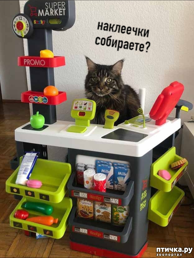 ���� 2: ��� �� ������ ����