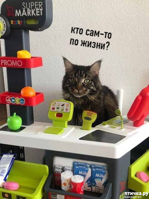 ���� 4: ��� �� ������ ����