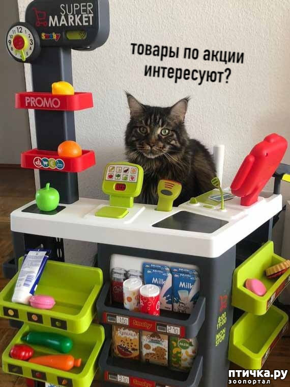 ���� 3: ��� �� ������ ����