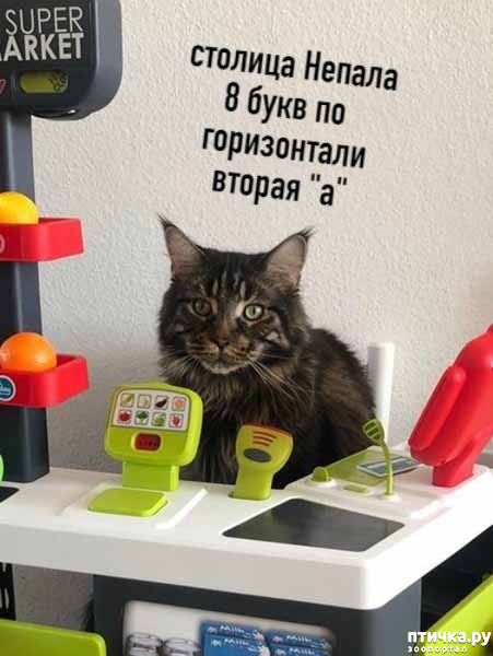 ���� 5: ��� �� ������ ����