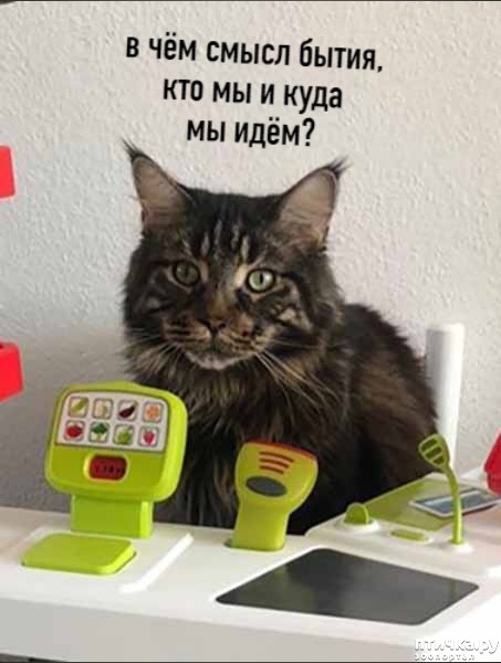 ���� 6: ��� �� ������ ����