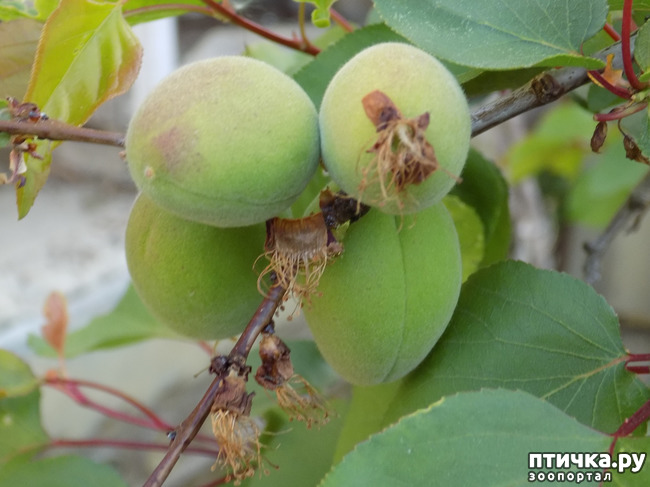 ���� 1: ��, ��� ������ ����...