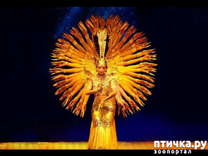 ����: ��������� ����� ������������ ����� ����