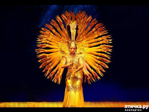 ���� 1: ��������� ����� ������������ ����� ����