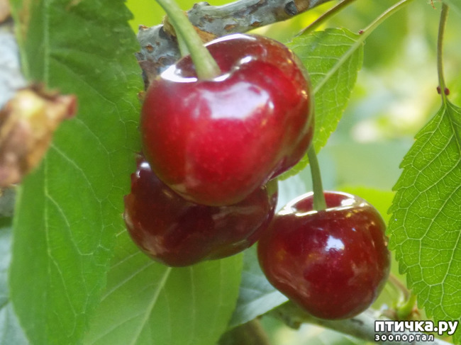 ���� 5: ��, ��� ������ ����...