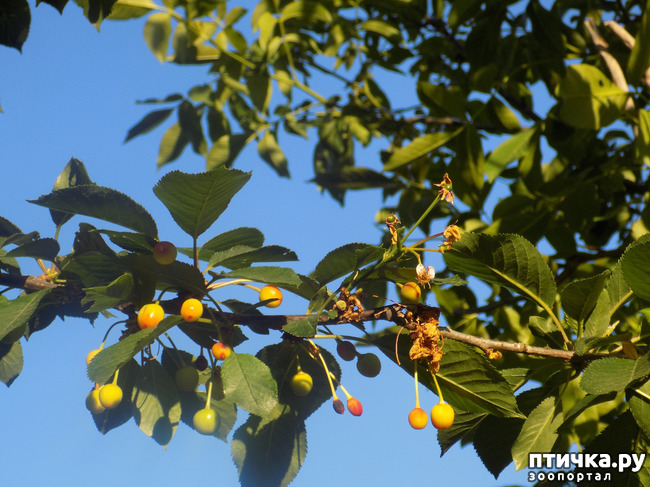 ���� 6: ��, ��� ������ ����...