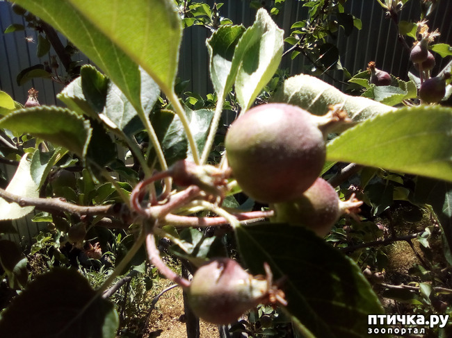 ���� 7: ��, ��� ������ ����...