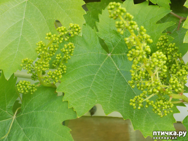 ���� 9: ��, ��� ������ ����...