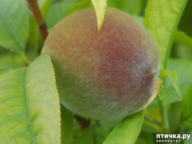 ���� 2: ��, ��� ������ ����...