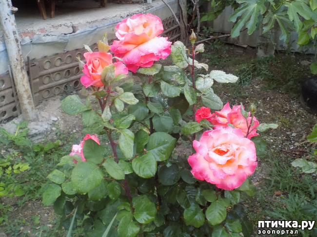 ���� 10: ��, ��� ������ ����...