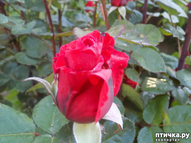 ���� 11: ��, ��� ������ ����...