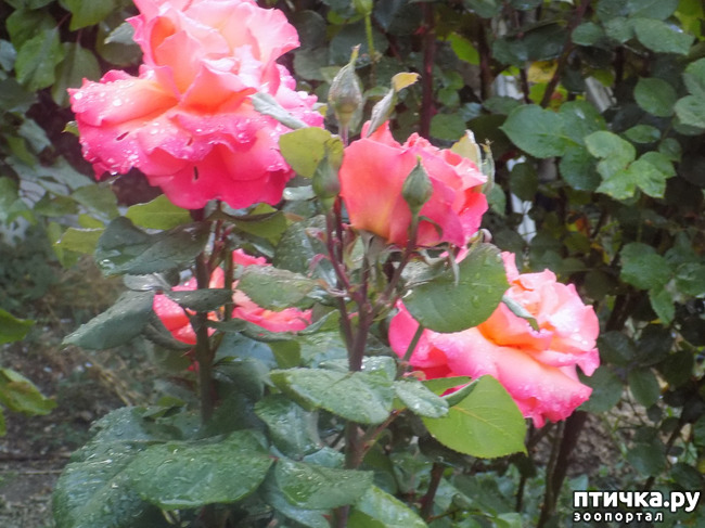 ���� 12: ��, ��� ������ ����...