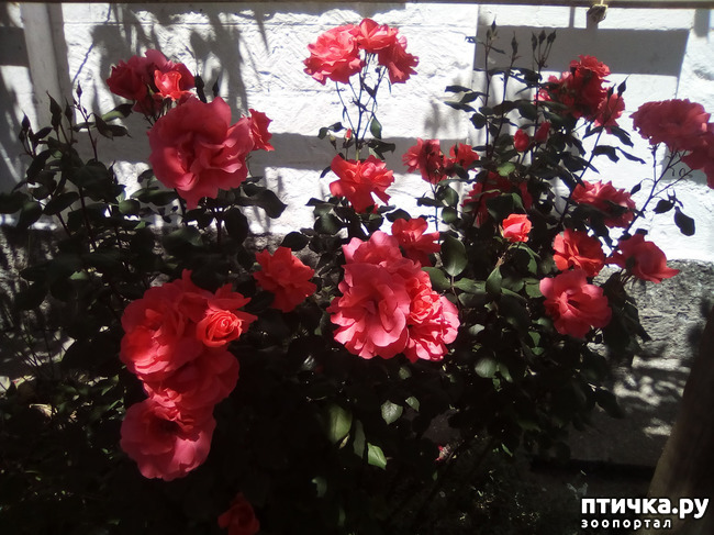 ���� 13: ��, ��� ������ ����...