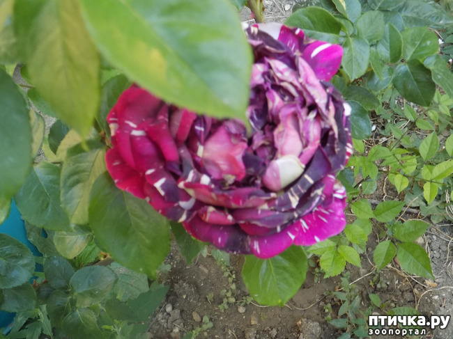 ���� 14: ��, ��� ������ ����...