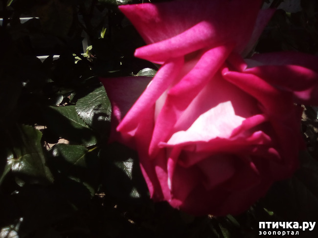 ���� 16: ��, ��� ������ ����...