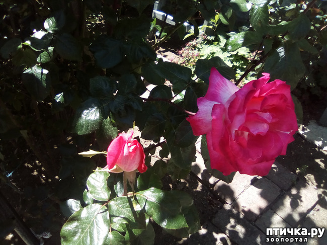 ���� 17: ��, ��� ������ ����...