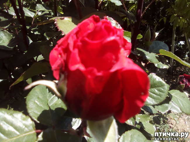 ���� 18: ��, ��� ������ ����...