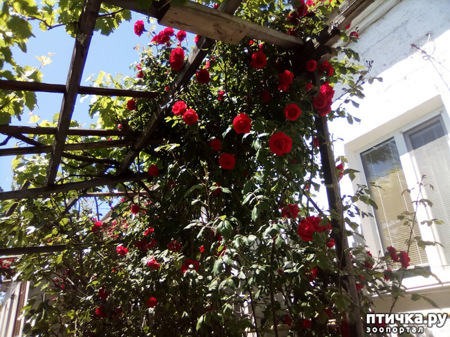 ���� 19: ��, ��� ������ ����...