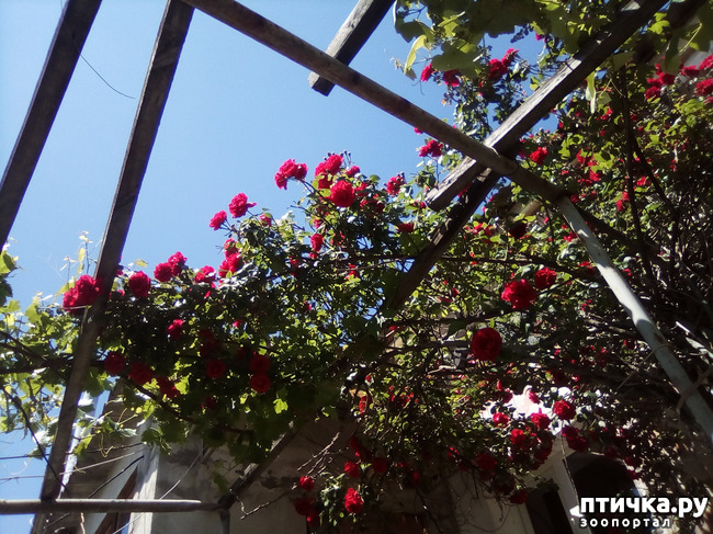 ���� 20: ��, ��� ������ ����...