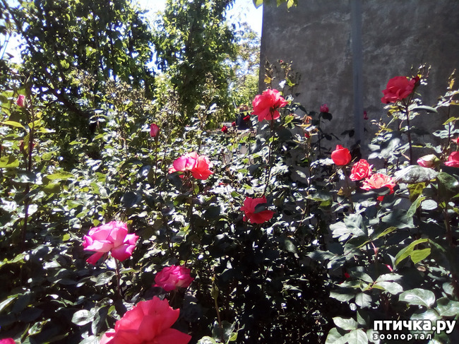 ���� 21: ��, ��� ������ ����...