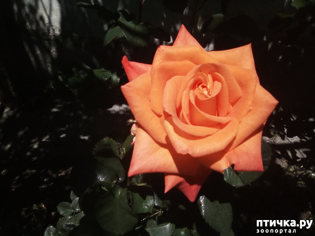 ���� 22: ��, ��� ������ ����...