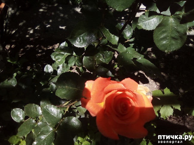 ���� 23: ��, ��� ������ ����...