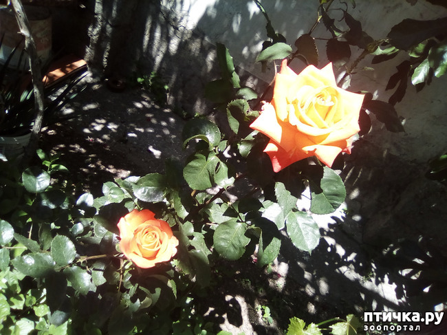 ���� 24: ��, ��� ������ ����...