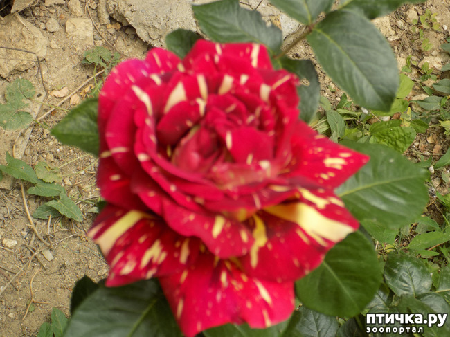 ���� 25: ��, ��� ������ ����...