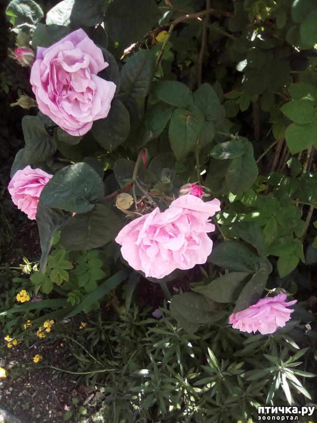 ���� 26: ��, ��� ������ ����...