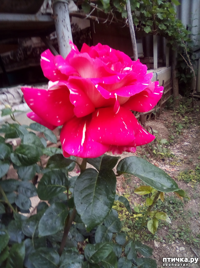 ���� 28: ��, ��� ������ ����...