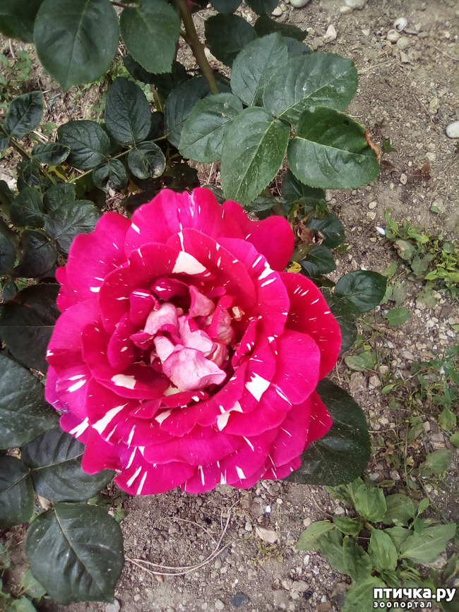 ���� 29: ��, ��� ������ ����...