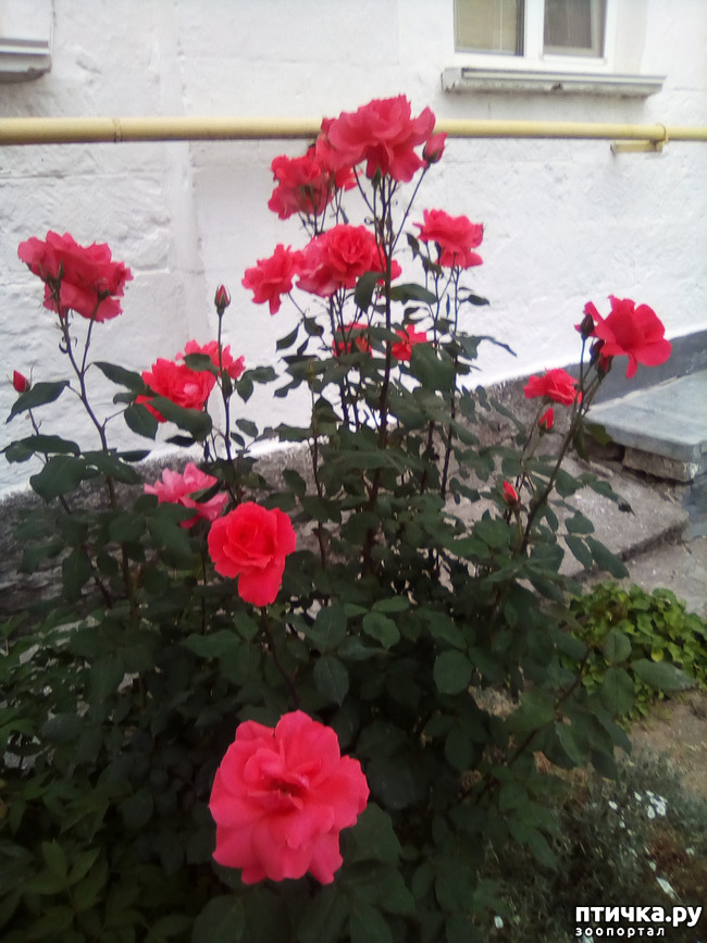 ���� 31: ��, ��� ������ ����...