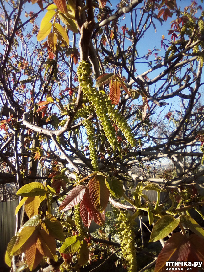 ���� 32: ��, ��� ������ ����...