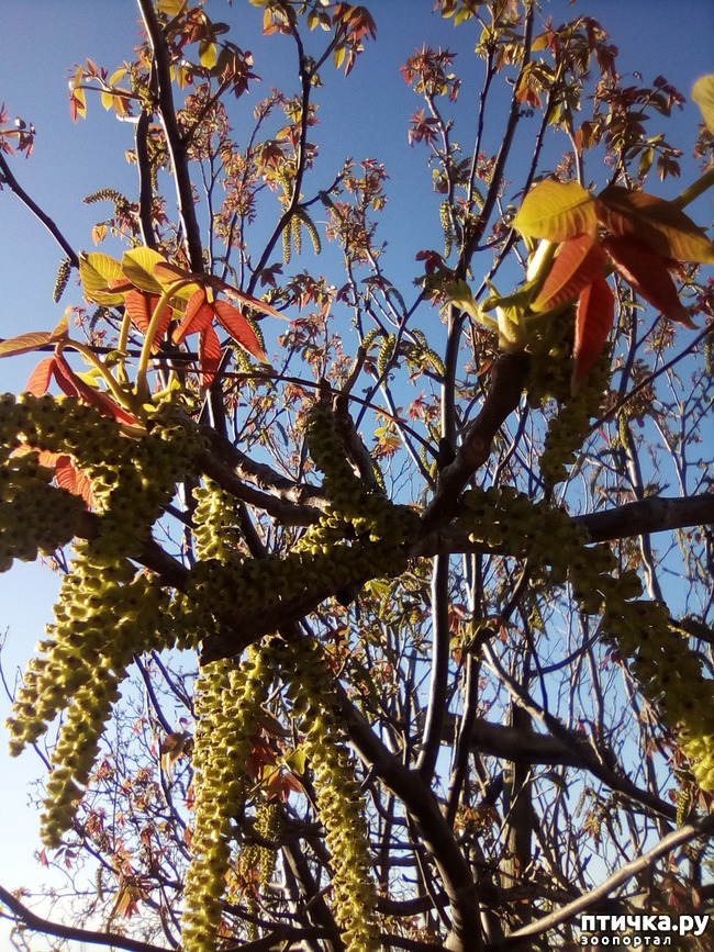 ���� 33: ��, ��� ������ ����...