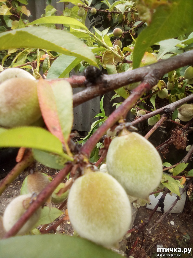 ���� 3: ��, ��� ������ ����...