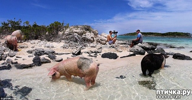 ���� 11: ���� � ��� ���!