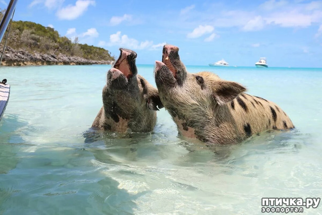 ���� 12: ���� � ��� ���!