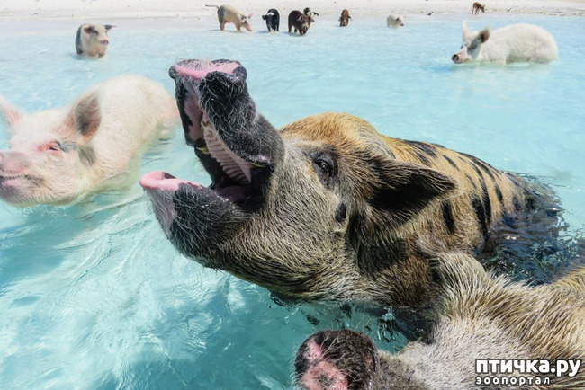 ���� 13: ���� � ��� ���!