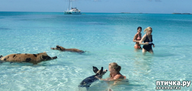 ���� 14: ���� � ��� ���!