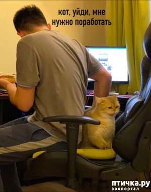 ����: ��������� ����