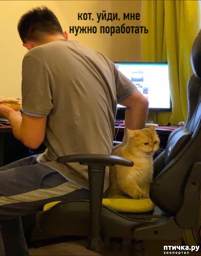 ���� 1: ��������� ����