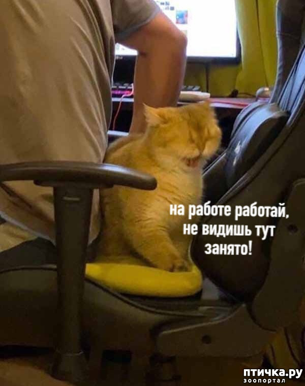 ���� 2: ��������� ����