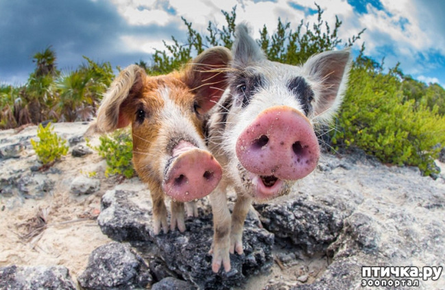 ���� 2: ���� � ��� ���!