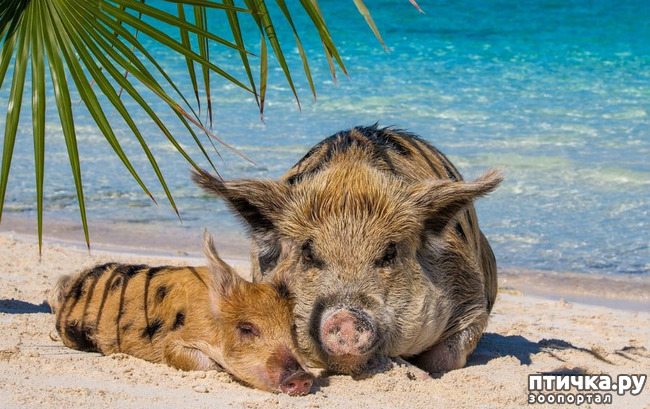 ���� 3: ���� � ��� ���!