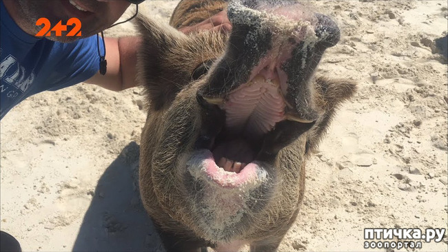 ���� 9: ���� � ��� ���!