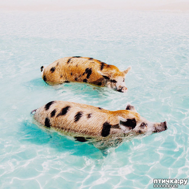 ���� 8: ���� � ��� ���!