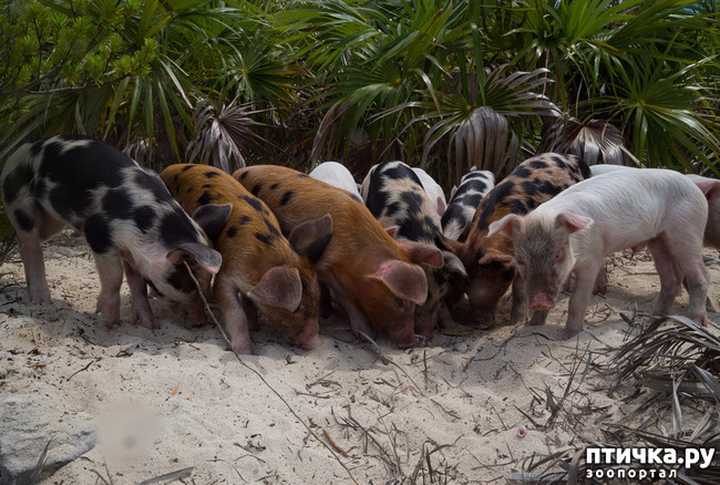 ���� 7: ���� � ��� ���!