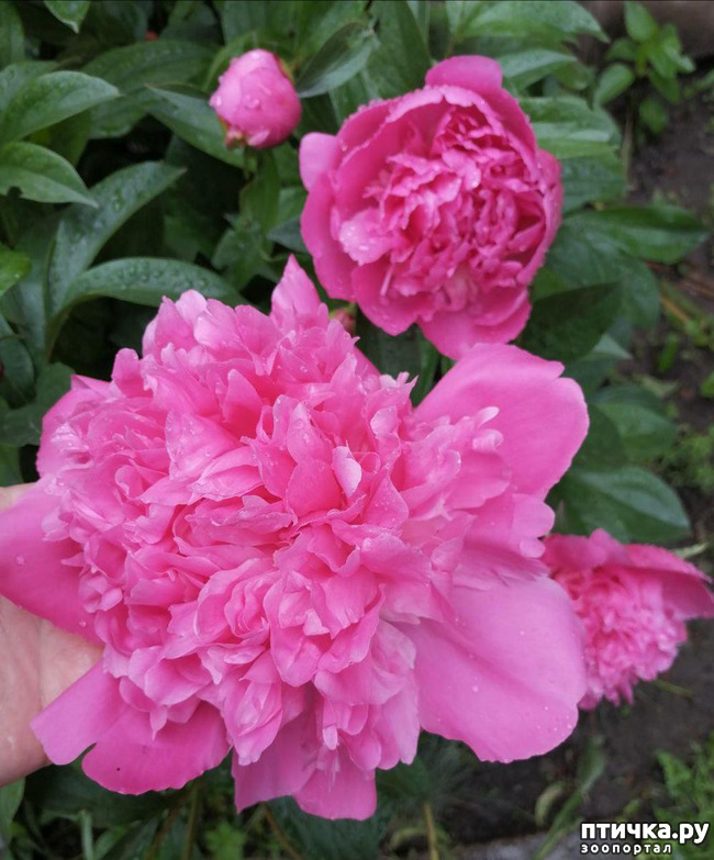 ���� 1: ��� �������� ����������!